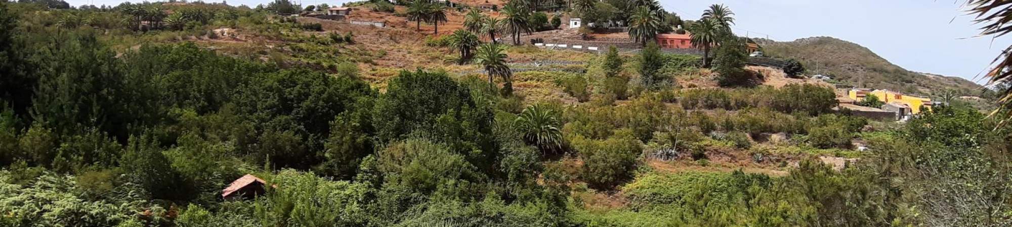 Las Rosas auf La Gomera