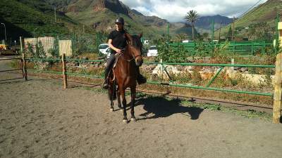 Reiten auf La Gomera